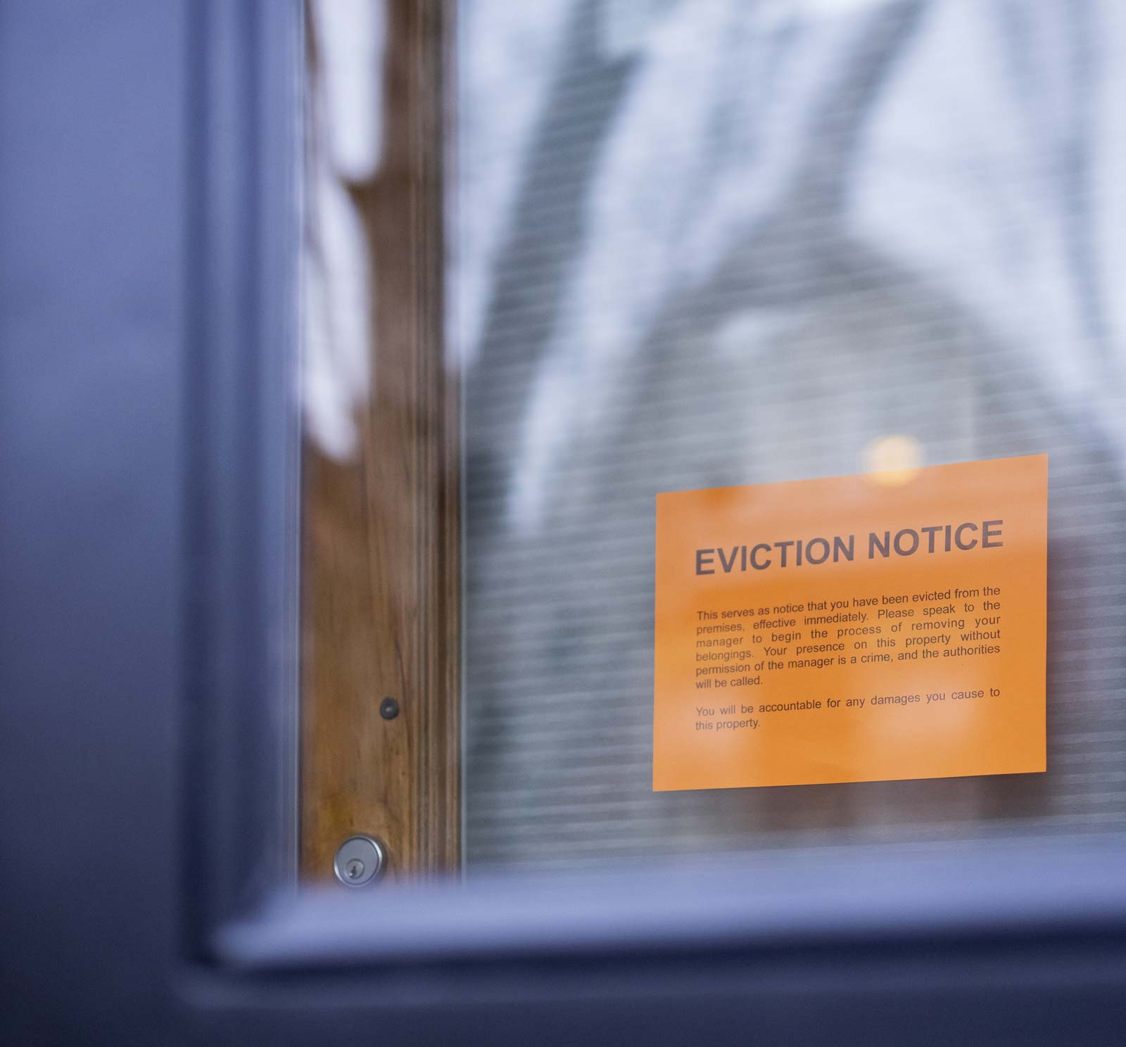 Casting Away Shadows